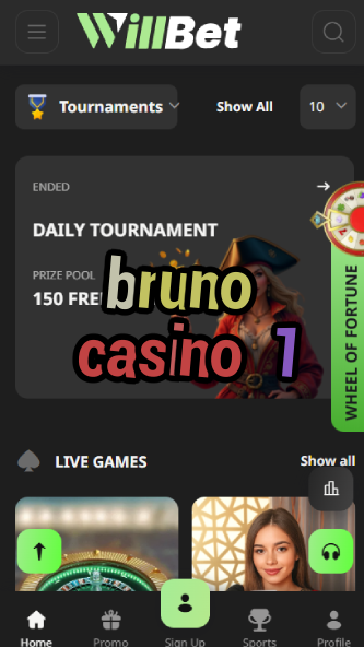 Bruno Casino 1 - Premium Casino Platform-casinocasi.ydblkf.net
