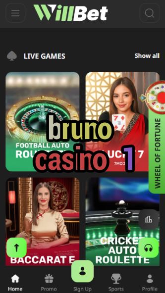Bruno Casino 1 - Premium Casino Platform-casinocasi.ydblkf.net